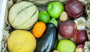 激光打標(biāo)“可食用標(biāo)簽”，引領(lǐng)食品安全新風(fēng)向